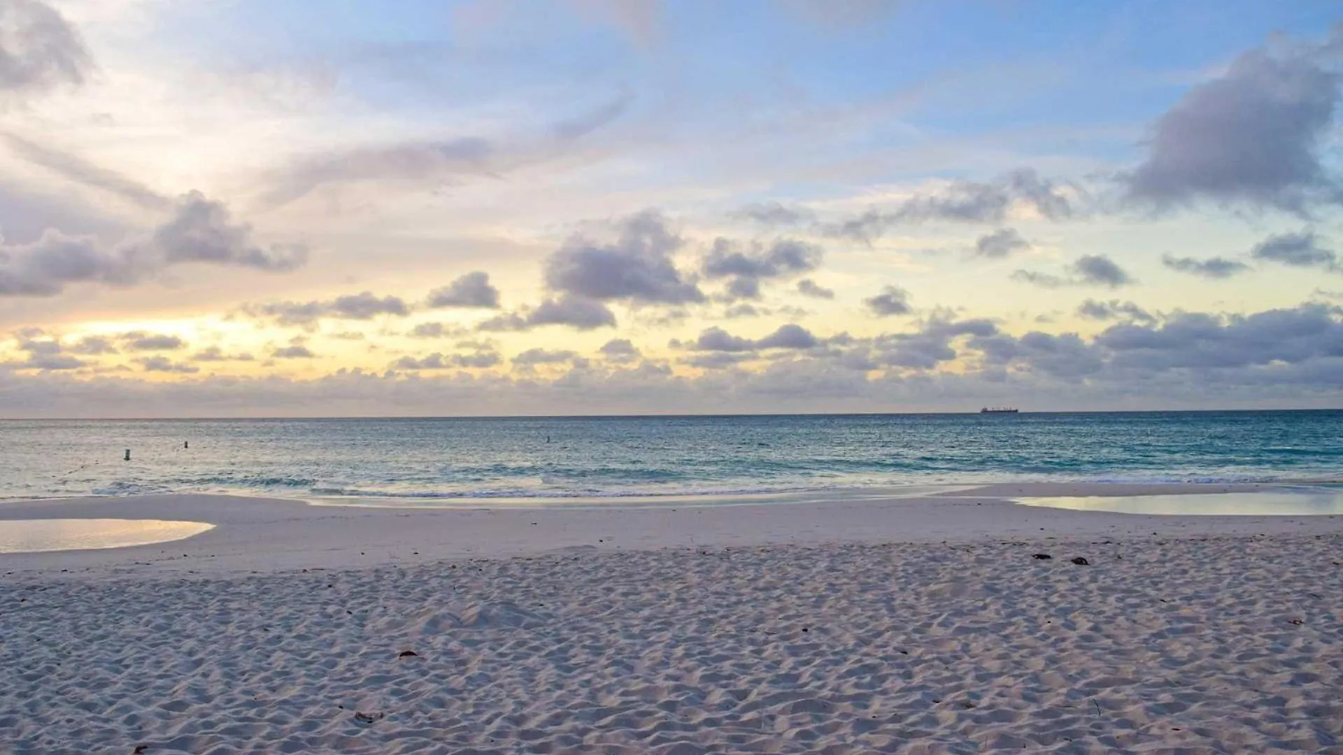 Beachfront - Absolute Luxury 2Br Condo - Bc254 Palm Beach