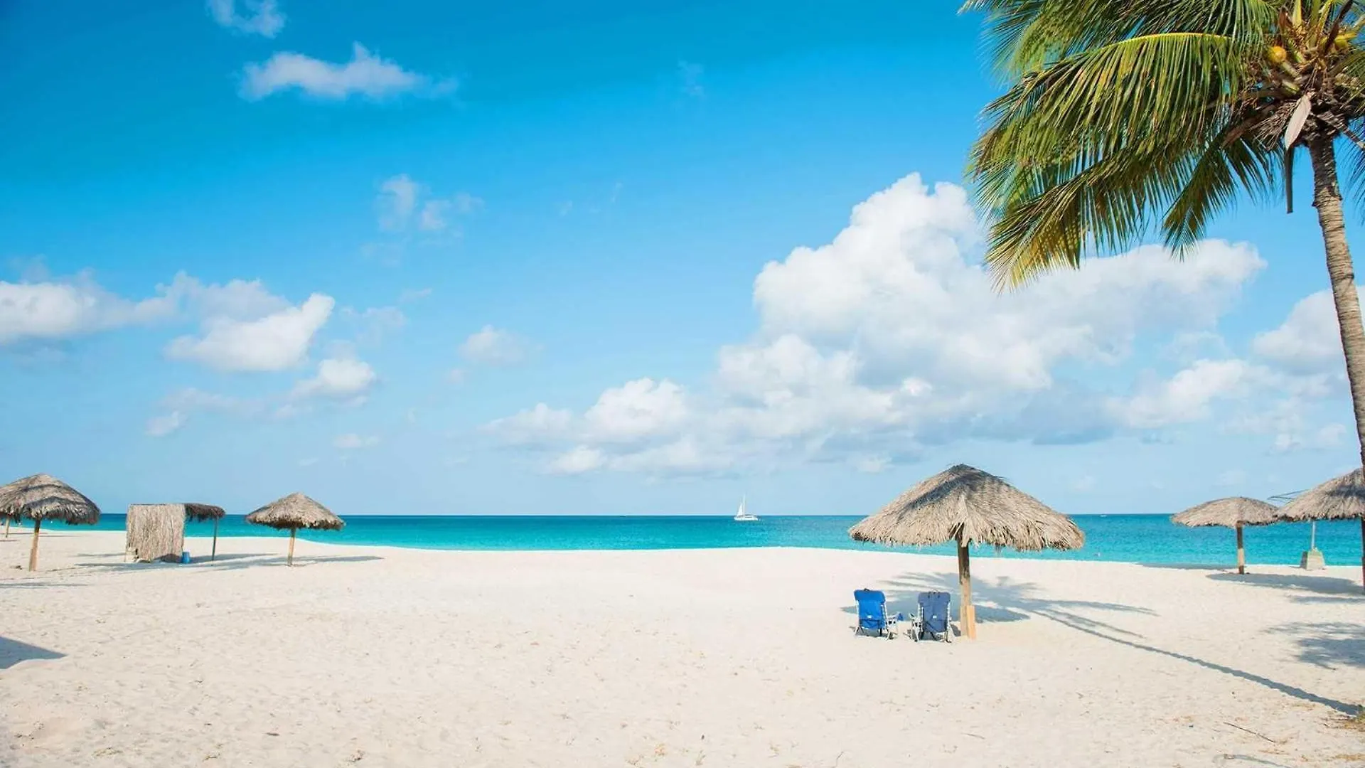 Beachfront - Absolute Luxury 2Br Condo - Bc254 Palm Beach Aruba