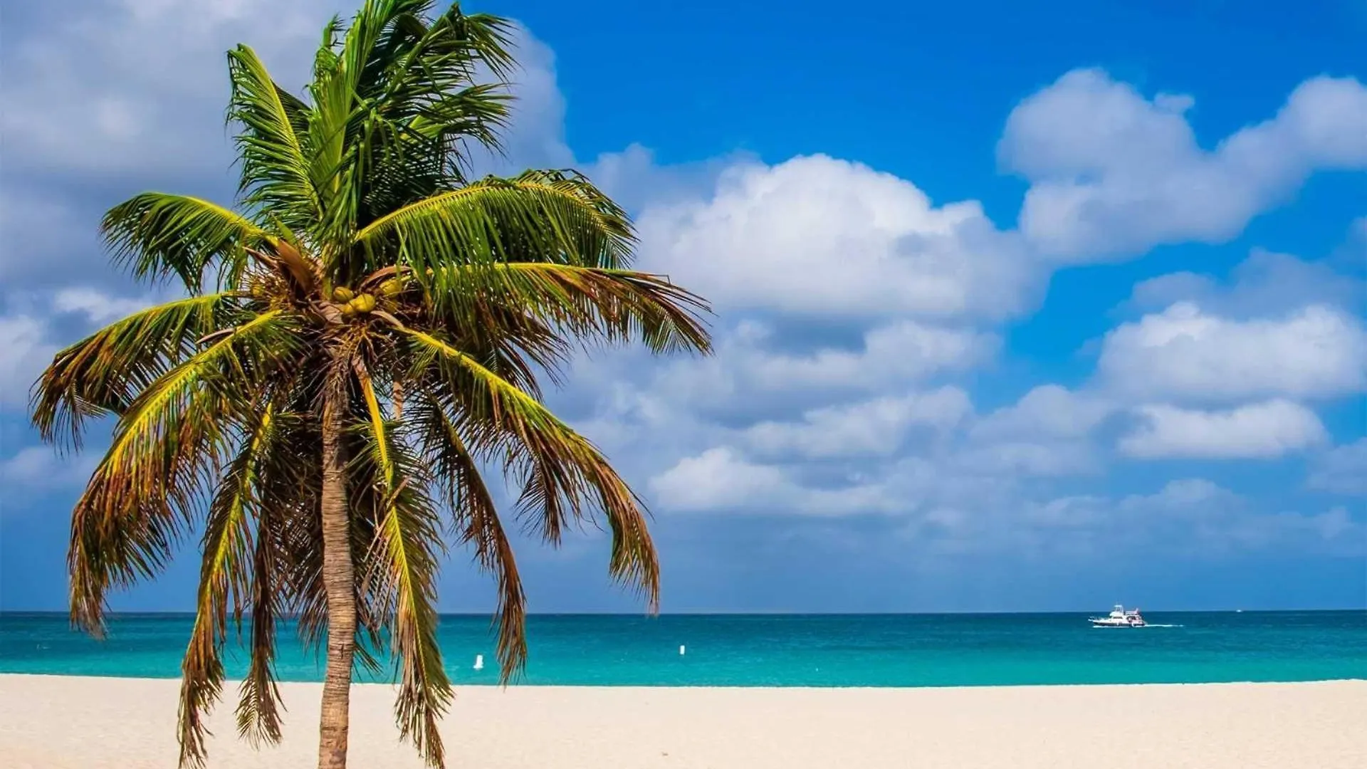 Beachfront - Absolute Luxury 2Br Condo - Bc254 Palm Beach 0*,  Aruba